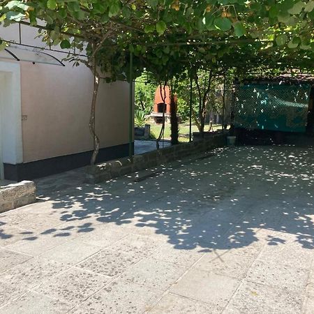 Ferienwohnung Apartma Mari Lucija Exterior foto