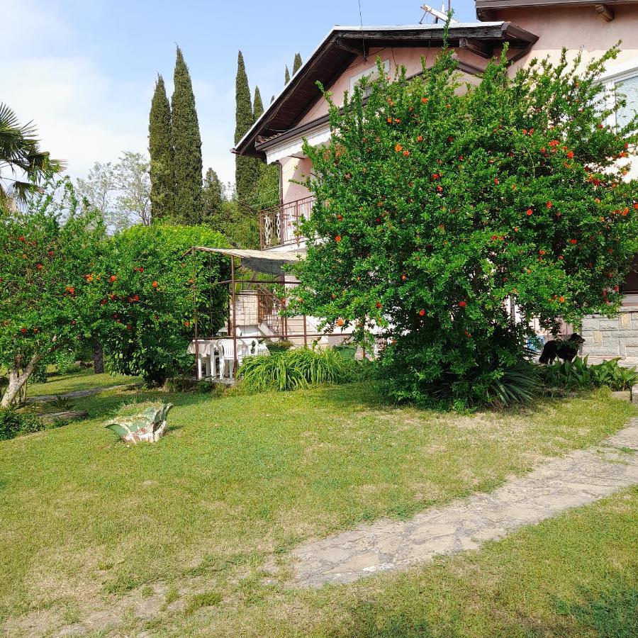 Ferienwohnung Apartma Mari Lucija Exterior foto